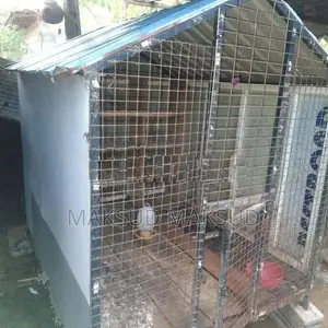 Bird Cage