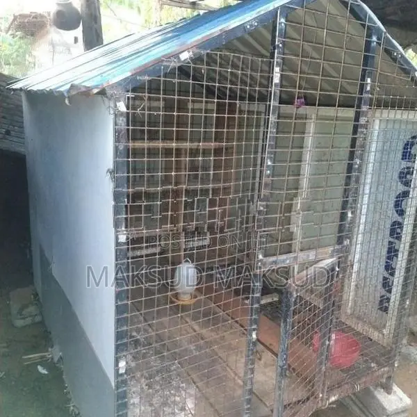 Bird Cage