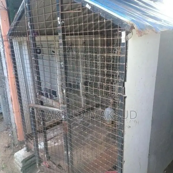Bird Cage
