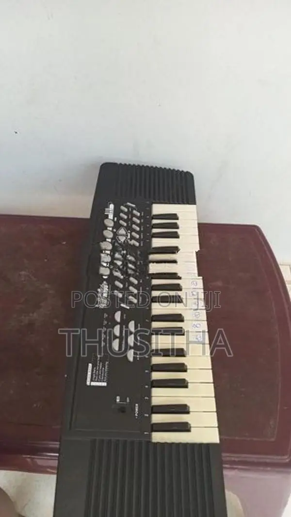 Electronic Organ