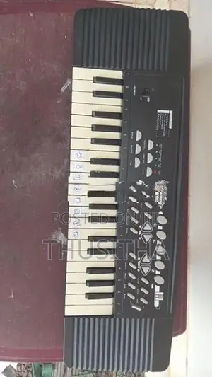 Electronic Organ