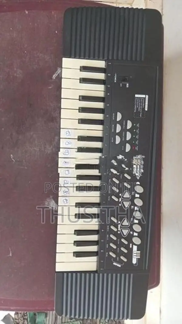 Electronic Organ