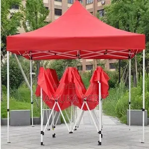 10*10 Folding Canopy / tent