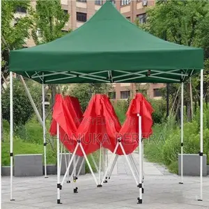 10*10 Folding Canopy / tent