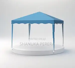 10*10 Folding Canopy/ hut (EX-4)