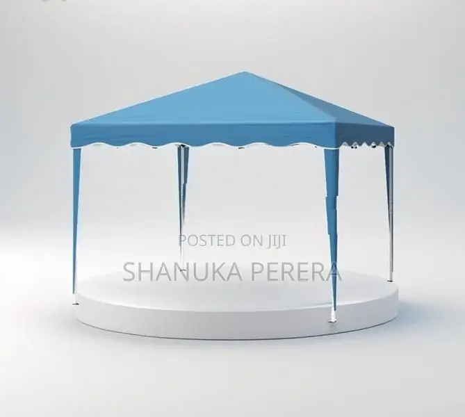 10*10 Folding Canopy/ hut (EX-4)