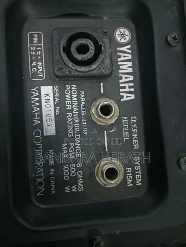 Yamaha Speaker 15"