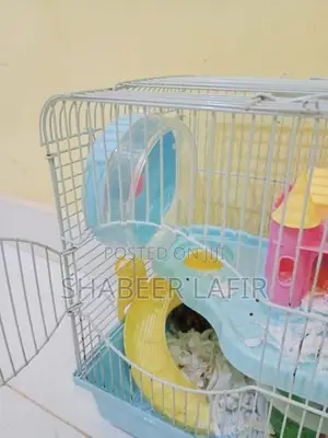 Hamster With Cage