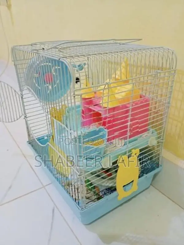 Hamster With Cage