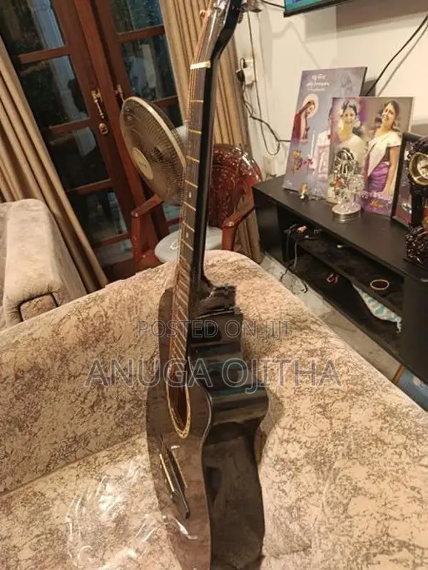 Guitar