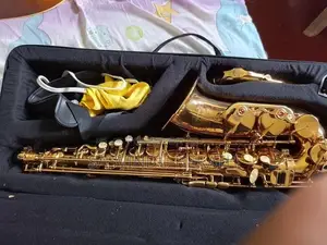 Naiputesi Custom Alto Saxophone With Case