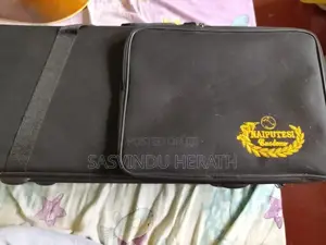 Naiputesi Custom Alto Saxophone With Case