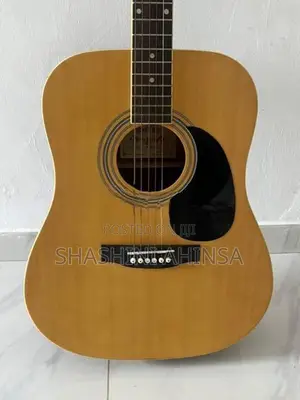 Honey Bee Acoustic Guitar