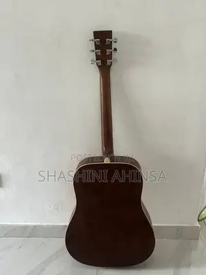 Honey Bee Acoustic Guitar