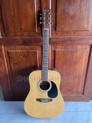 Honey Bee Acoustic Guitar