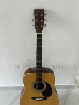 Honey Bee Acoustic Guitar