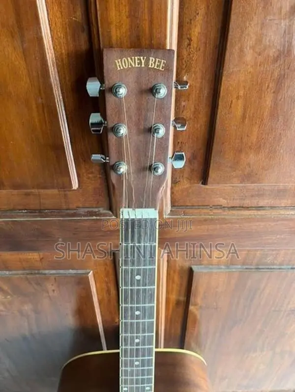Honey Bee Acoustic Guitar
