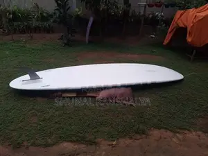 Paddle board