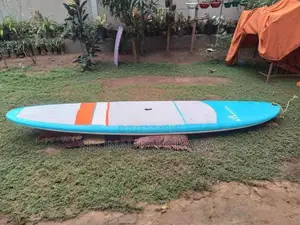 Paddle board