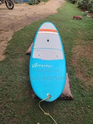Paddle board