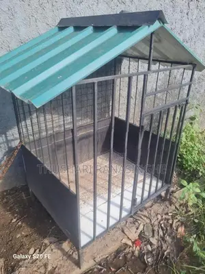 Dig Cage