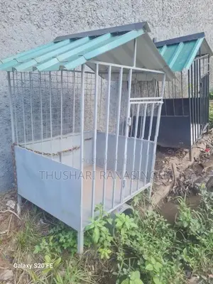 Dig Cage