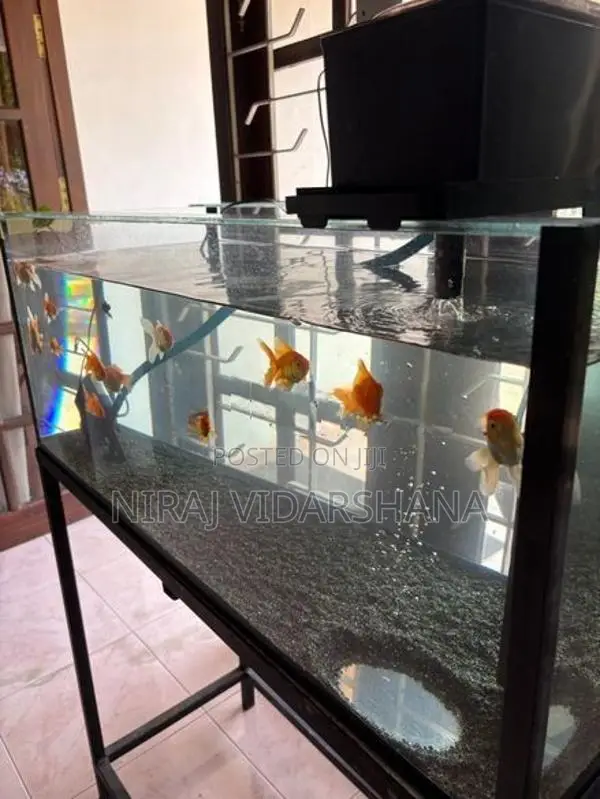 Fish Tank Full Set