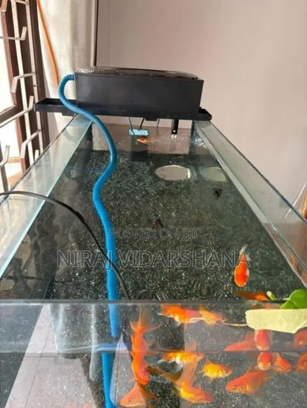 Fish Tank Full Set