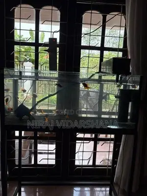 Fish Tank Full Set