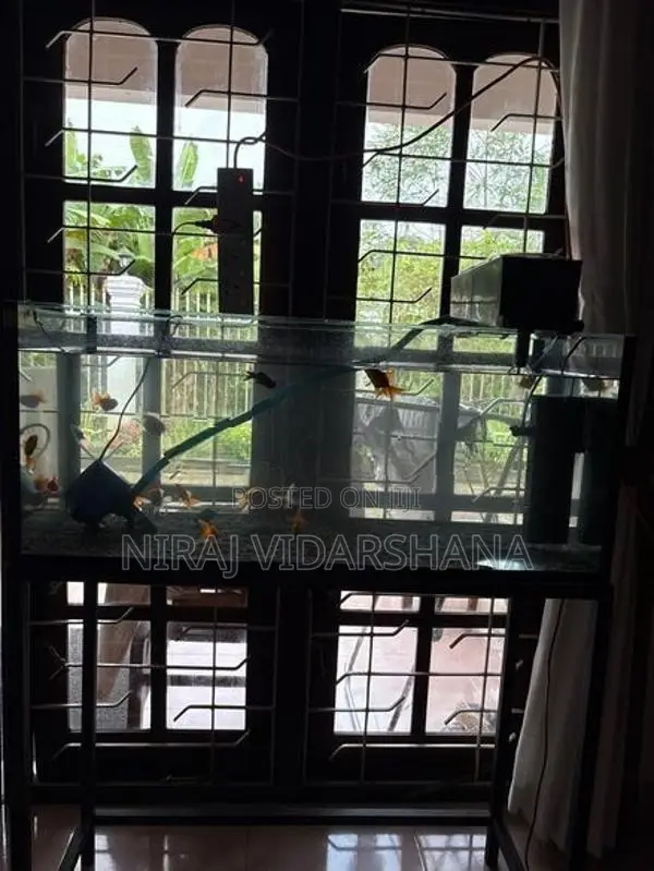 Fish Tank Full Set