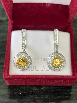 Ladies Earrings
