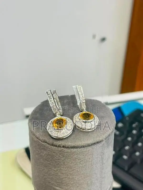 Ladies Earrings