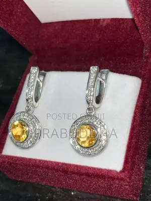 Ladies Earrings