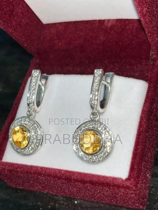 Ladies Earrings