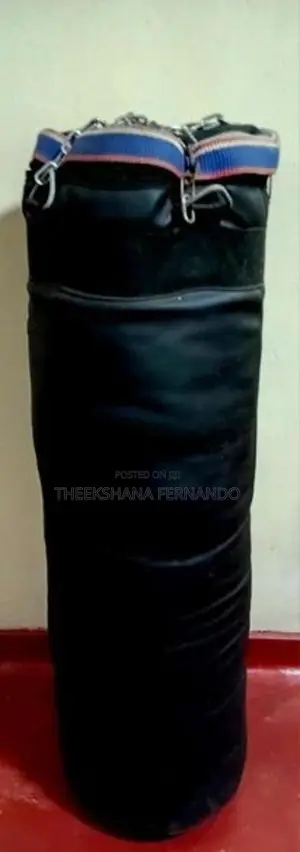 Punching Bag (AME)