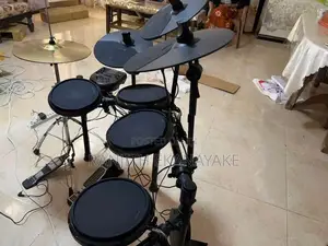 Alesis Electric Drum Kit
