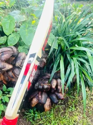 SS Ton Full Size Cricket Bat