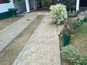 උද්‍යාන අලන්කරණය