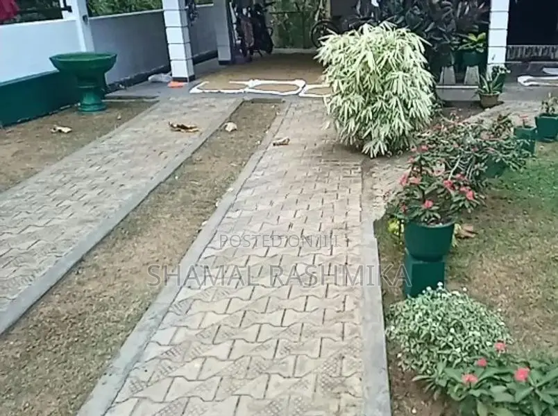 උද්‍යාන අලන්කරණය