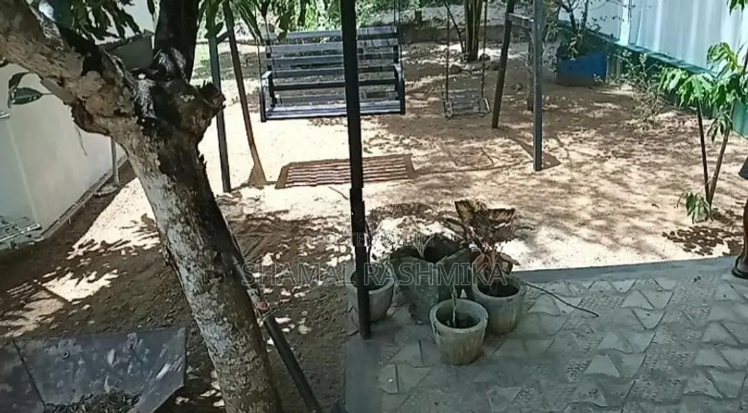 උද්‍යාන අලන්කරණය