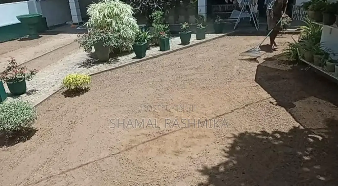 උද්‍යාන අලන්කරණය