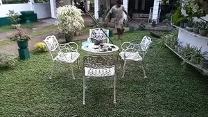 උද්‍යාන අලන්කරණය