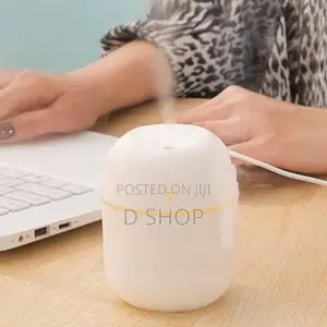 USB 220ml Household Colored Egg Air Atomizer / Humidifier