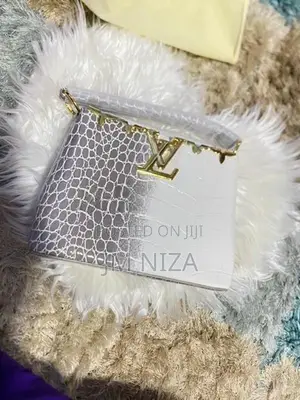 louis_vuitton LV Handbag Limited Edition