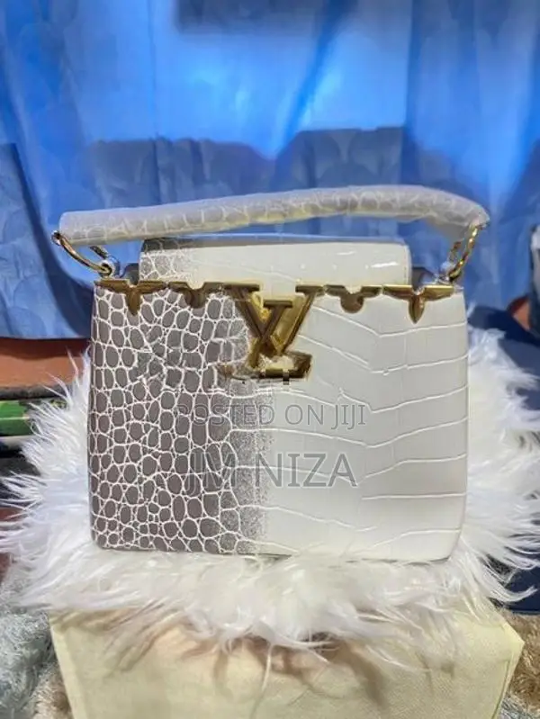 louis_vuitton LV Handbag Limited Edition