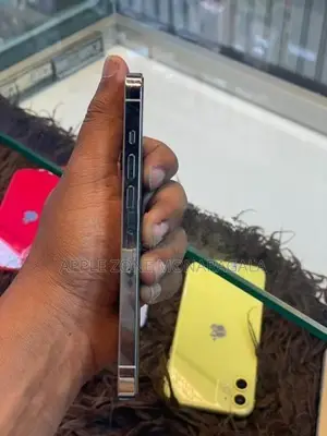 Apple iPhone 13 Pro (Used)