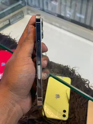 Apple iPhone 13 Pro (Used)