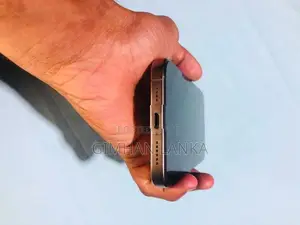 Apple iPhone 16 Pro Max (Used)