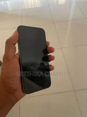 Apple iPhone 13 Pro (Used)