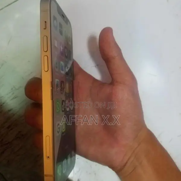 Apple iPhone 12 (Used)
